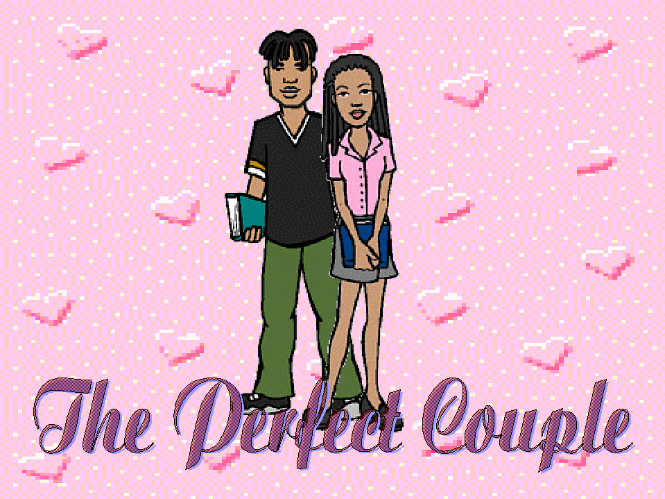 The Perfect Couple
