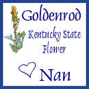 Thank You Nan