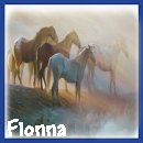 Thank You Fionna