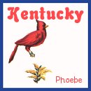 Thank You Phoebe
