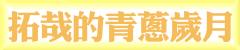 buttom4.JPG (3159 bytes)