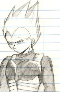 Dude! it's Vegita~
