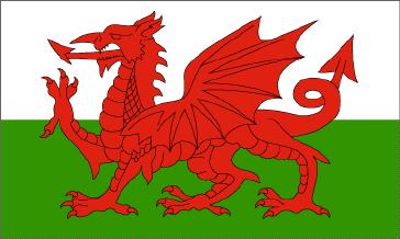 WALES FLAG!!!