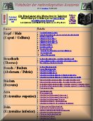 Die Muskulatur des Menschen in Tabellen 
 
 
 mit Verkn�pfungen zu Abbildungen 
des 
menschlichen 
Schnittbildatlanten 
im 
Internet 
konzipiert als Lernhilfe f�r Pr�parierkurs und       Physikum