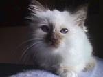 dddfrodo_e.jpg (150x112; 2752 bytes)