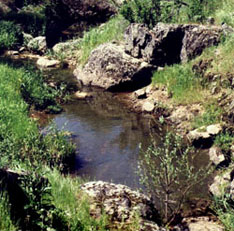 wading pool