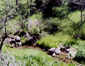 seasonal creek