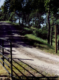 front gate-driveway