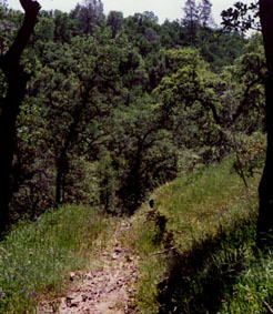 trail-4x4 road