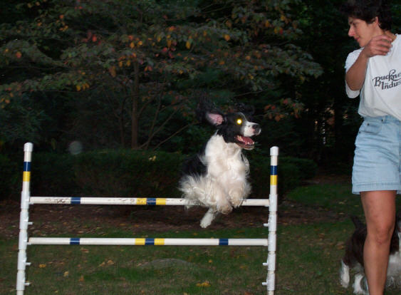 Trevor practicing a 24" jump with Lisa