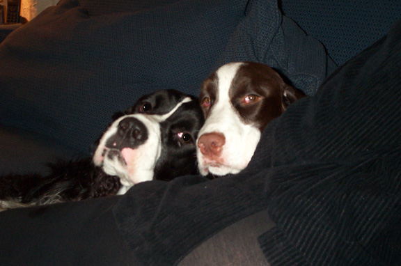 Trevor and Storm on Rhonda's lap