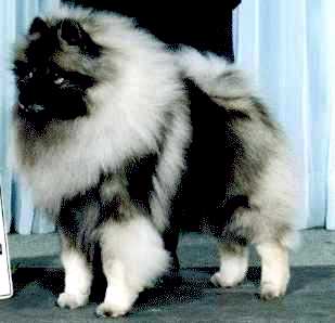 Princess' Photo
