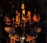 bandpic3s.gif (20309 bytes)