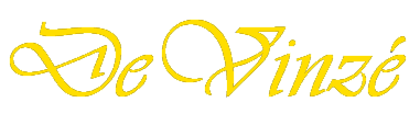 To DeVinze.com
