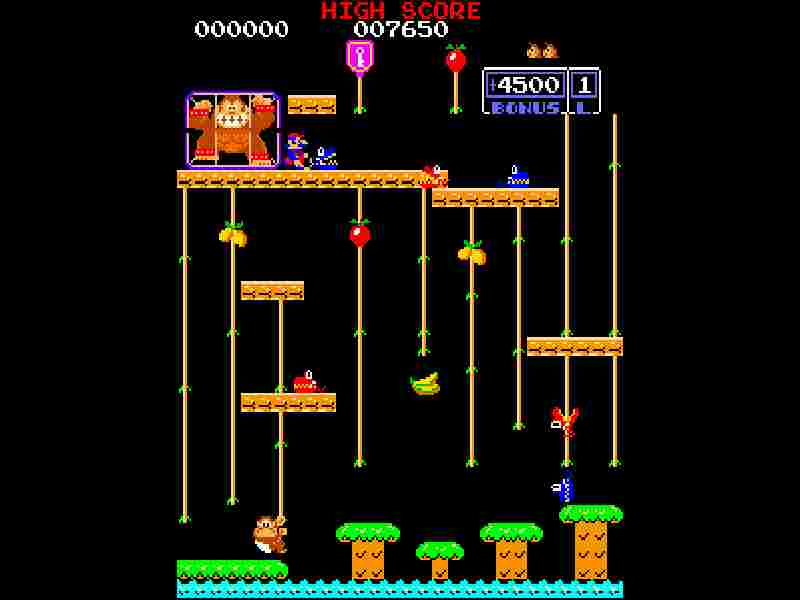 Donkey Kong Junior
