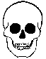 {The Holy symbol of Death is a Skull}