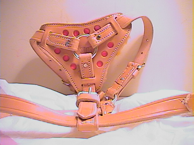 [Product Image]