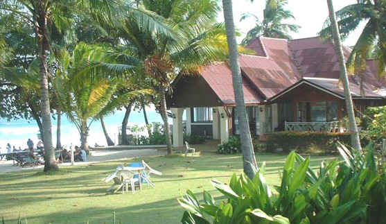 Front Garden View
