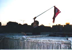Flagging birds to go  higher