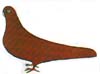 Red standard