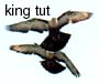 Flying Azrak katifa