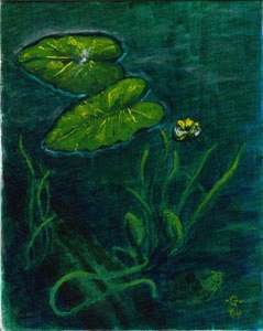 "Secret Life of the Lilly Pad"