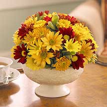 Yellow daisies, red daisies
