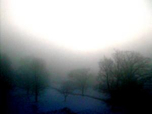Foggy Scene