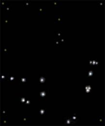 The Capricorn Constellation