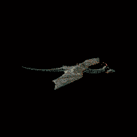 /user/flydrag2.gif