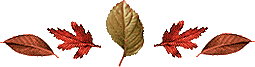 /user/leafdivider.gif