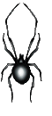 /user/spider3.gif