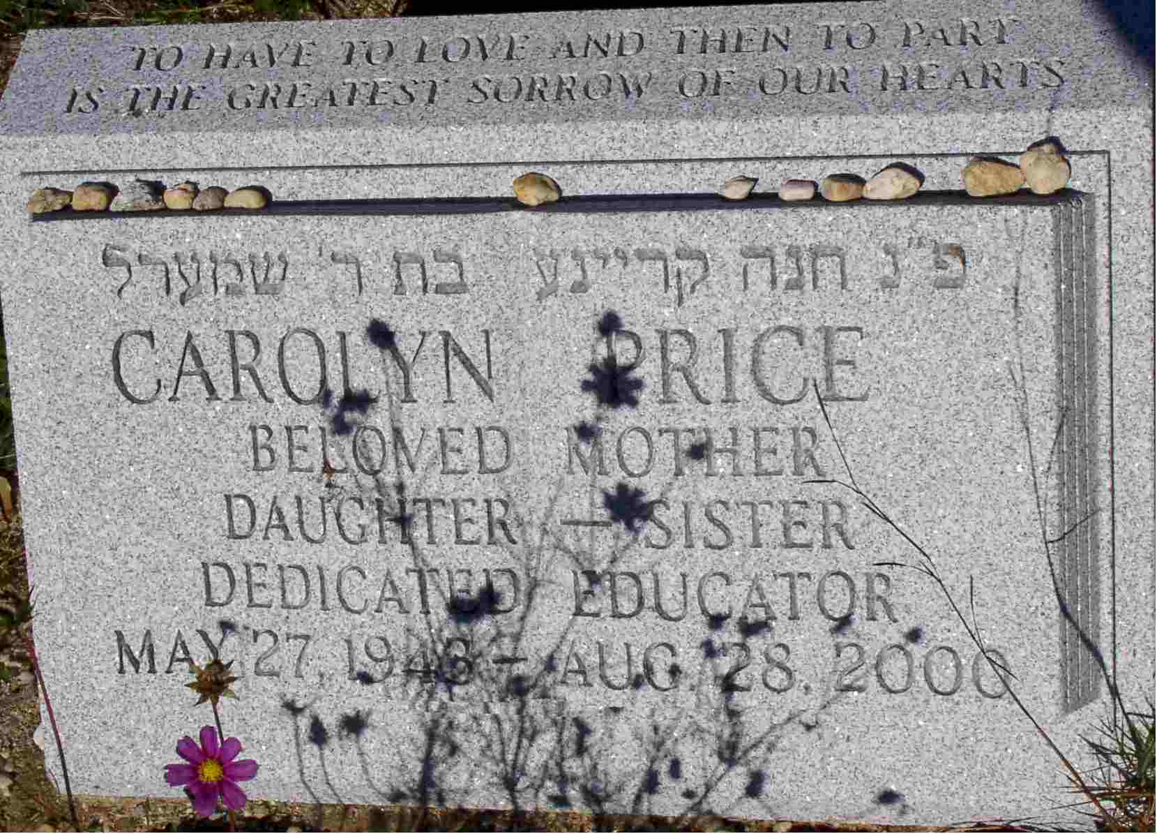 CarolynPrice2.jpg (135710 bytes)