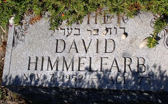 DavidHimmelfarbstone.jpg (80205 bytes)
