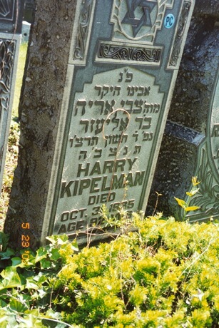 Harry Kipelman