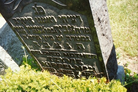 Tzvie Kippelman