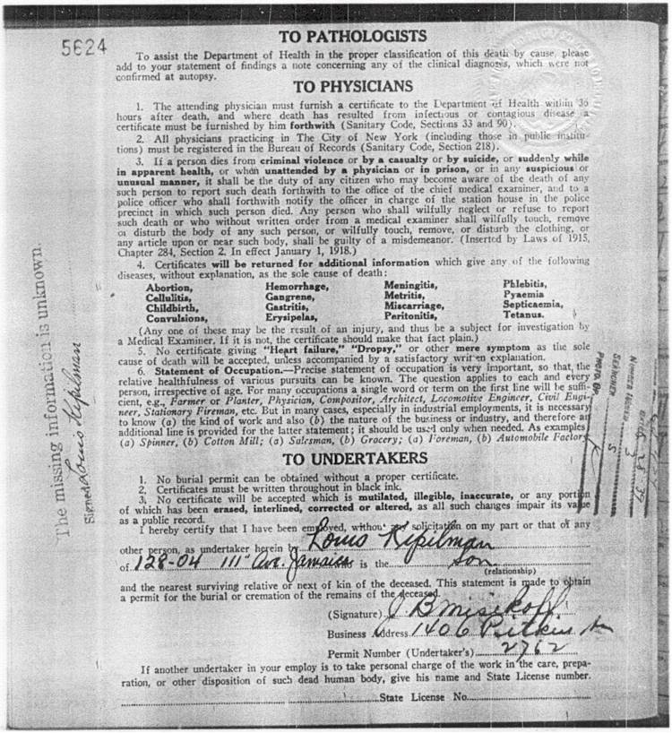 maxkipilmandc2.jpg (142614 bytes)