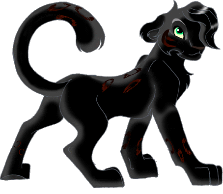 If I were a lion (well actually a panther)...Don't Steal Me!!!