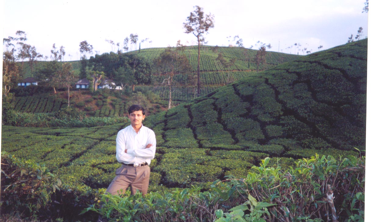 In the Tea plantatation gardens...