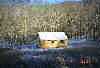 CUTE HOUSE