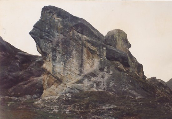 DERIVADO DE LA NATURALEZA