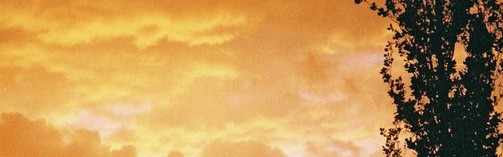 goldsun