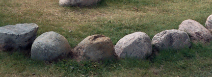 kivi�