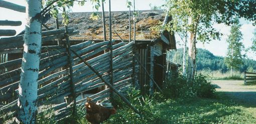 countryside