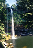 MisolHa