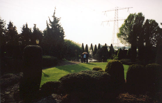 Pieter's Backyard