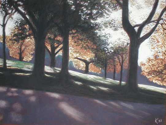 H�yskoleparken in Trondheim