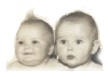The twins