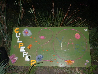 Culpeper Party 3