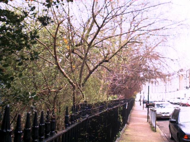 Thornhill Crescent